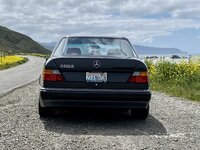 IMG_1932.jpeg