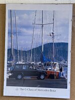 IMG_1007.jpeg