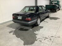 IMG_1136.jpeg