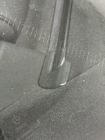 IMG_8654.jpeg