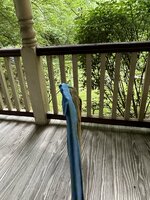 IMG_1685.jpeg