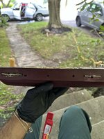 IMG_1741.jpeg