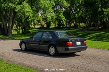 6491e80e2a6b001a682c8bdc_DSC_4217-p-1600.jpg