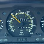 IMG_0312.jpeg