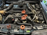 IMG_4441.jpeg
