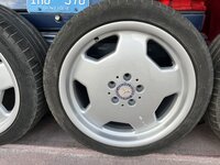 IMG_0477.jpeg