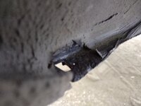 IMG_20230812_192632354.jpg IMG_20230812_192632354.jpg