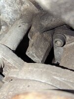 PXL_20230815_195451077.jpg