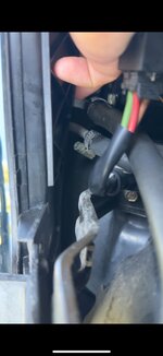IMG_4884.jpeg
