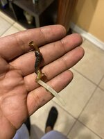 IMG_0864.jpeg