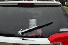 200.gif