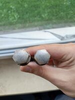 Download (1) (1).jpeg