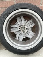 IMG_6811.jpeg