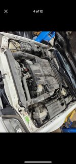 IMG_0588.jpeg