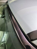 20231011_212938.jpg 20231011_212938.jpg