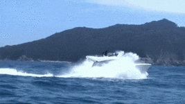 200.gif