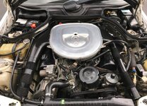 download - 2023-11-21T112412.386.jpeg