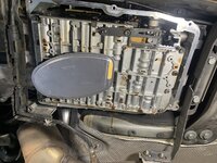 IMG_0525 Large.jpeg