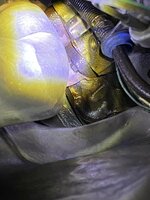 IMG_1284.jpeg IMG_1284.jpeg