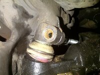 Tucson-20130608-00074.jpg