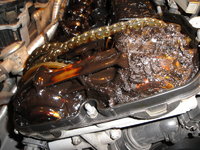 sludge1.jpg
