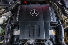 16082_p40_l.jpg