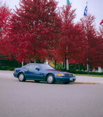 IMG_8413.jpeg