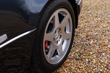 DSC04356.jpg