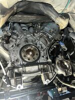 IMG_9937.jpeg