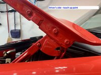 IMG_2176.jpeg