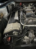 IMG_3080.jpeg
