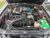 IMG_2978.jpeg IMG_2978.jpeg