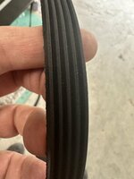 IMG_2301.jpeg