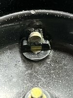 IMG_5966.jpeg
