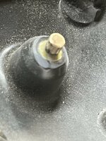 IMG_5982.jpeg