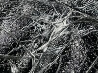 IMG_6703.jpeg