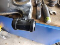 IMG_20240310_143708255.jpg IMG_20240310_143708255.jpg