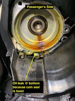 IMG_3139.jpeg IMG_3139.jpeg