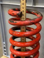 IMG_6753.jpeg
