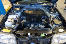 download - 2024-03-15T192343.769.jpg