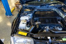 download - 2024-03-15T192343.979.jpg