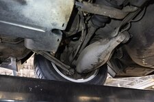 download - 2024-03-15T192348.403.jpg