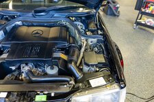 download - 2024-03-15T192353.459.jpg