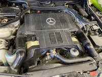IMG_0532.jpeg