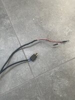 IMG_3704.jpeg