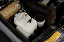 L1000360-63519.jpg