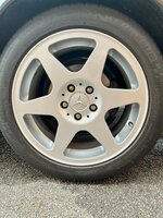 IMG_1128.jpg