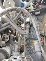 17149292940395149430461568525980.jpg 17149292940395149430461568525980.jpg