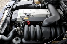 large_136984023608.jpg