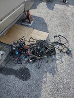 IMG_20240511_170938722_HDR.jpg IMG_20240511_170938722_HDR.jpg